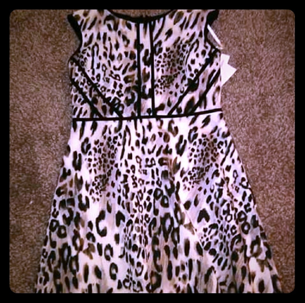 Sandra Darren Dress